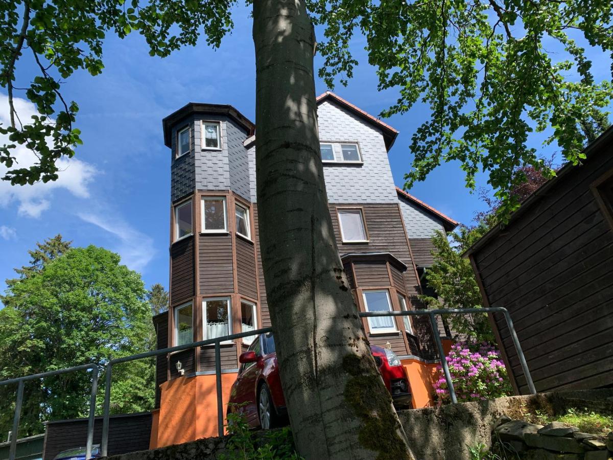 Haus Am Kurpark Apartment เคลาส์ทาล-เซลเลอร์เฟลด์ ภายนอก รูปภาพ